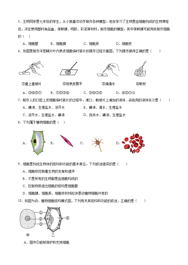 冀少版（2024新版）七年级上册生物期末检测模拟预测试卷1（含答案）第2页