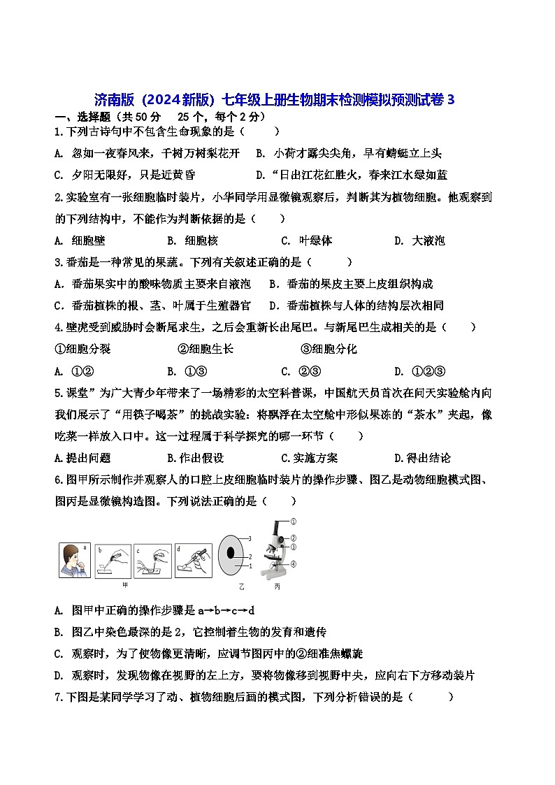 济南版（2024新版）七年级上册生物期末检测模拟预测试卷3（含答案）第1页