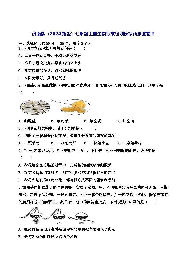 济南版（2024新版）七年级上册生物期末检测模拟预测试卷2（含答案）第1页