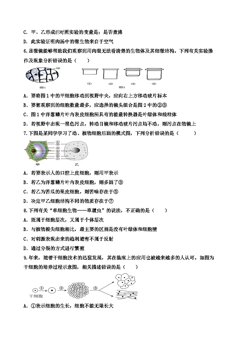 济南版（2024新版）七年级上册生物期末检测模拟预测试卷2（含答案）第2页