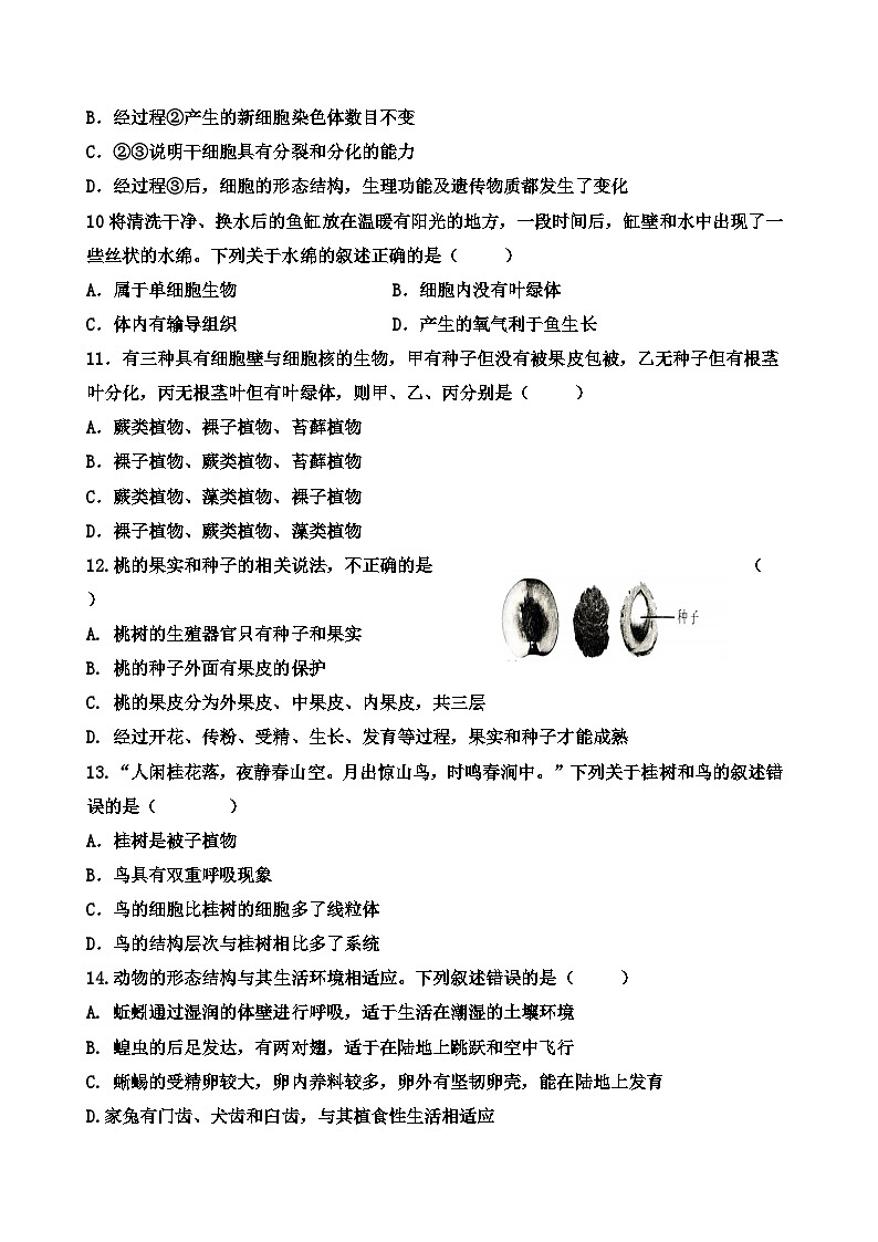 济南版（2024新版）七年级上册生物期末检测模拟预测试卷2（含答案）第3页