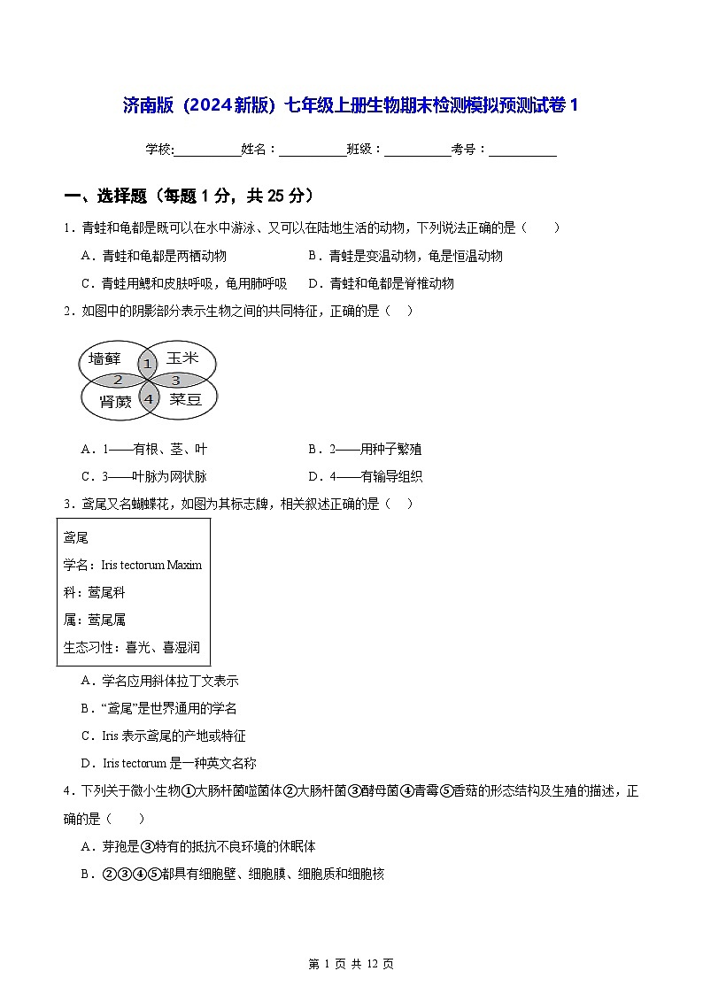 济南版（2024新版）七年级上册生物期末检测模拟预测试卷1（含答案）第1页