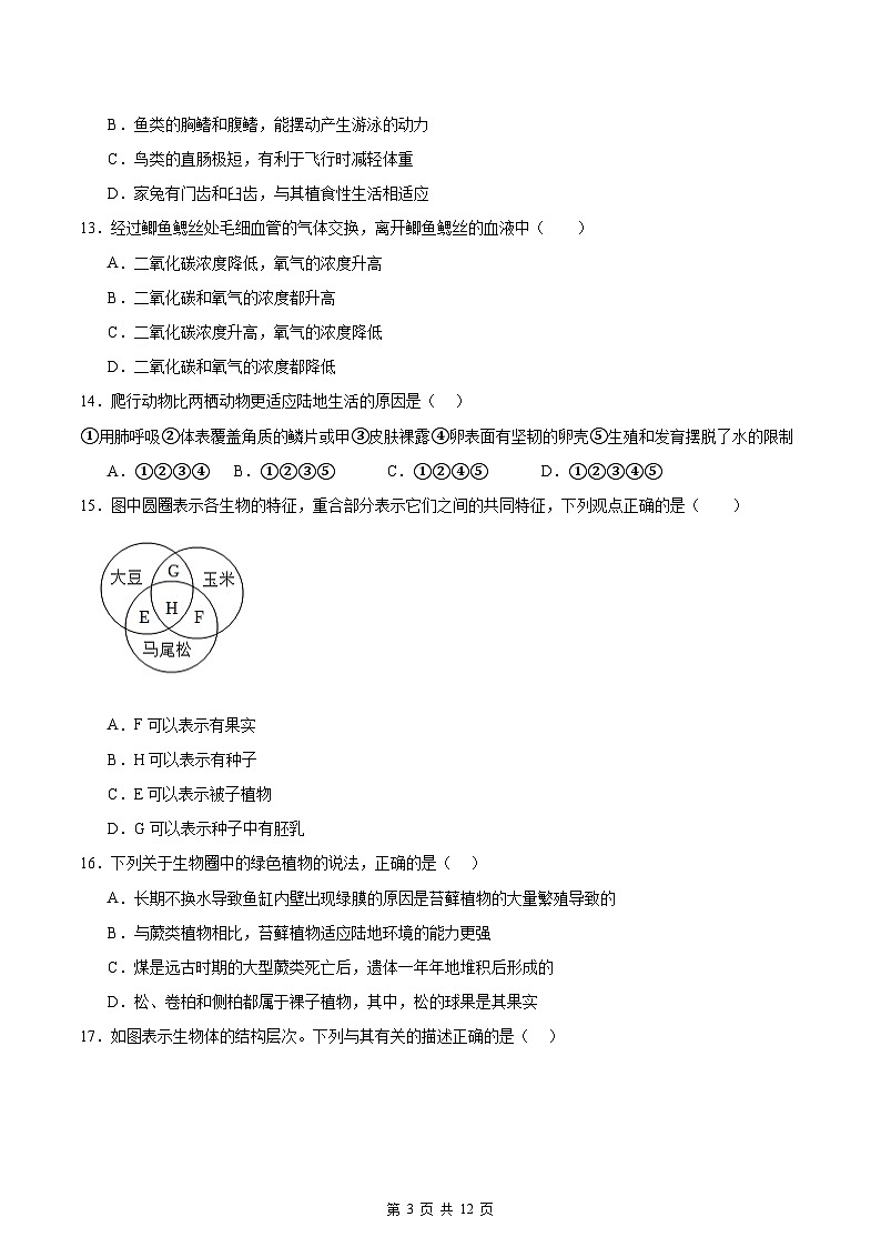 济南版（2024新版）七年级上册生物期末检测模拟预测试卷1（含答案）第3页