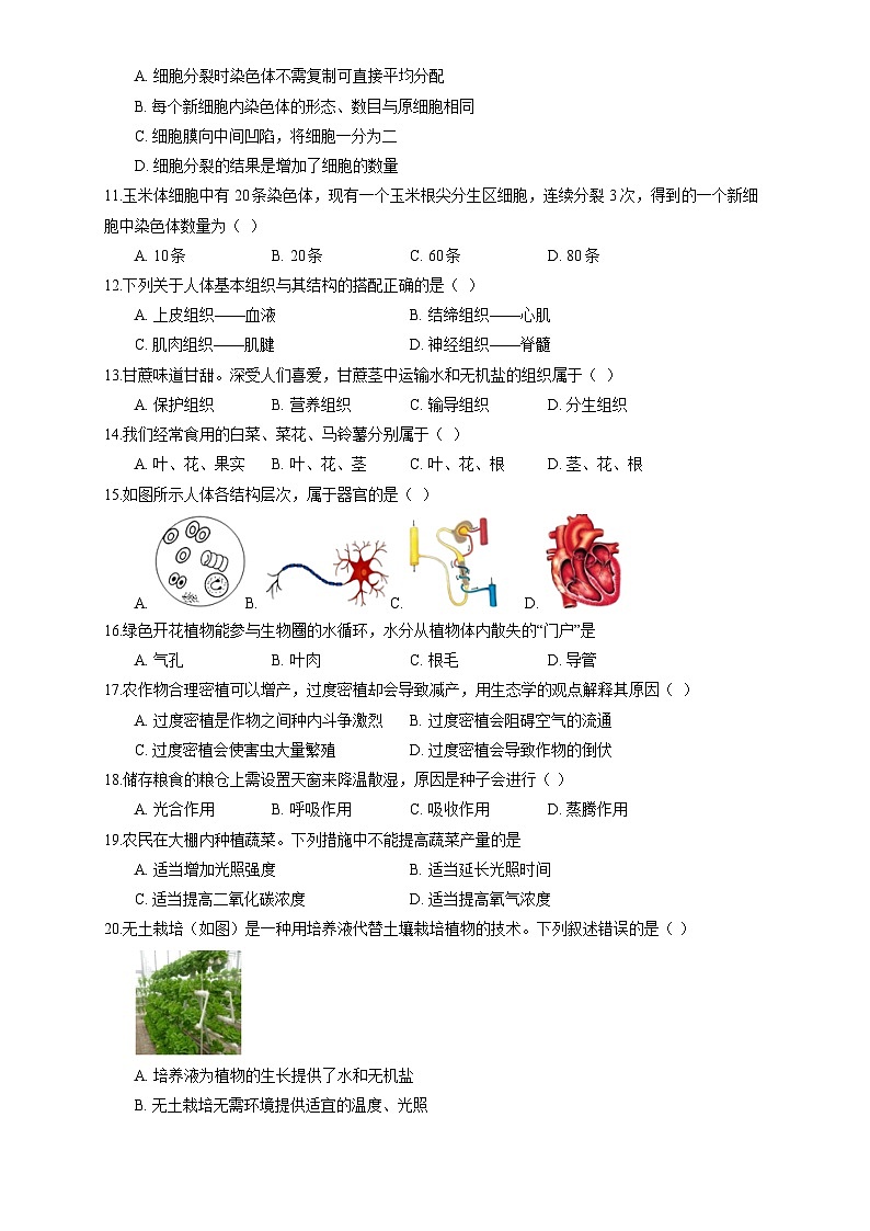北师大版（2024新版）七年级上册生物期末复习刷题试卷4（含答案解析）第2页