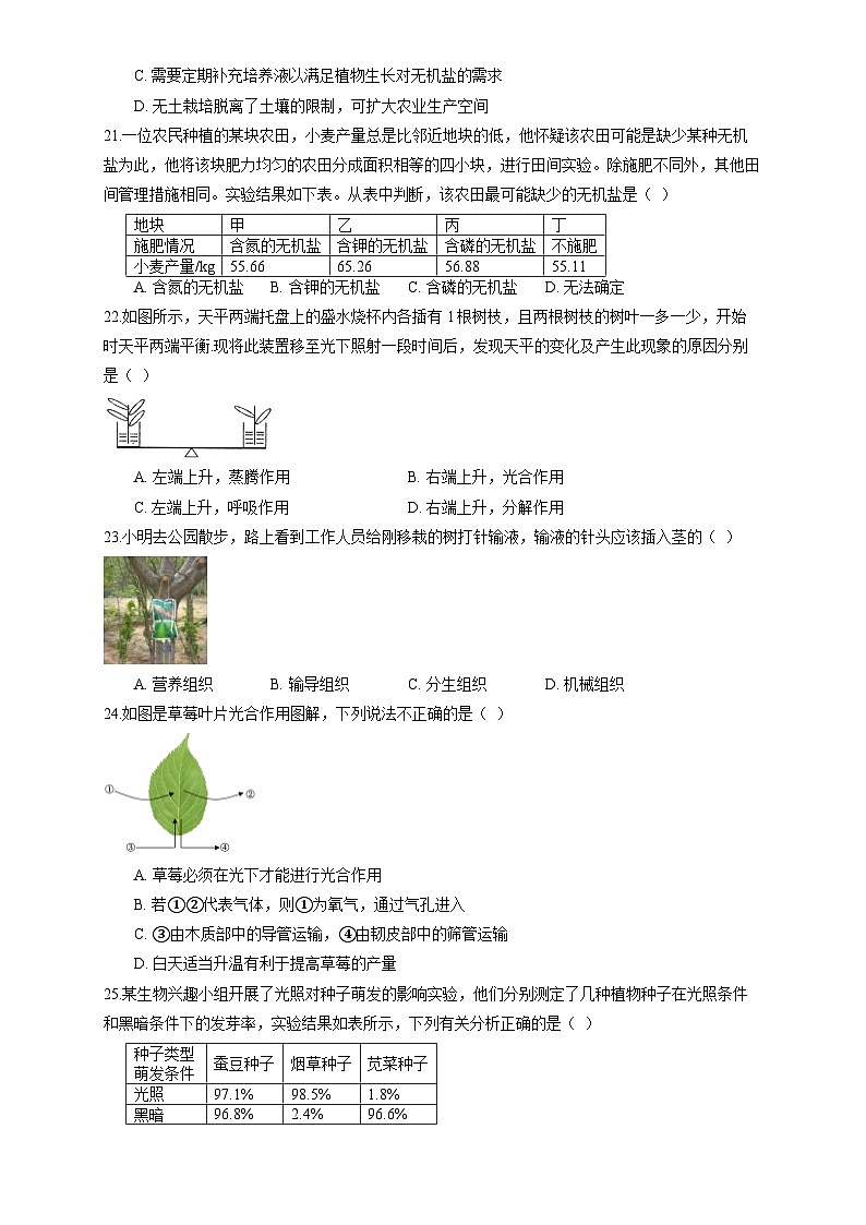 北师大版（2024新版）七年级上册生物期末复习刷题试卷4（含答案解析）第3页