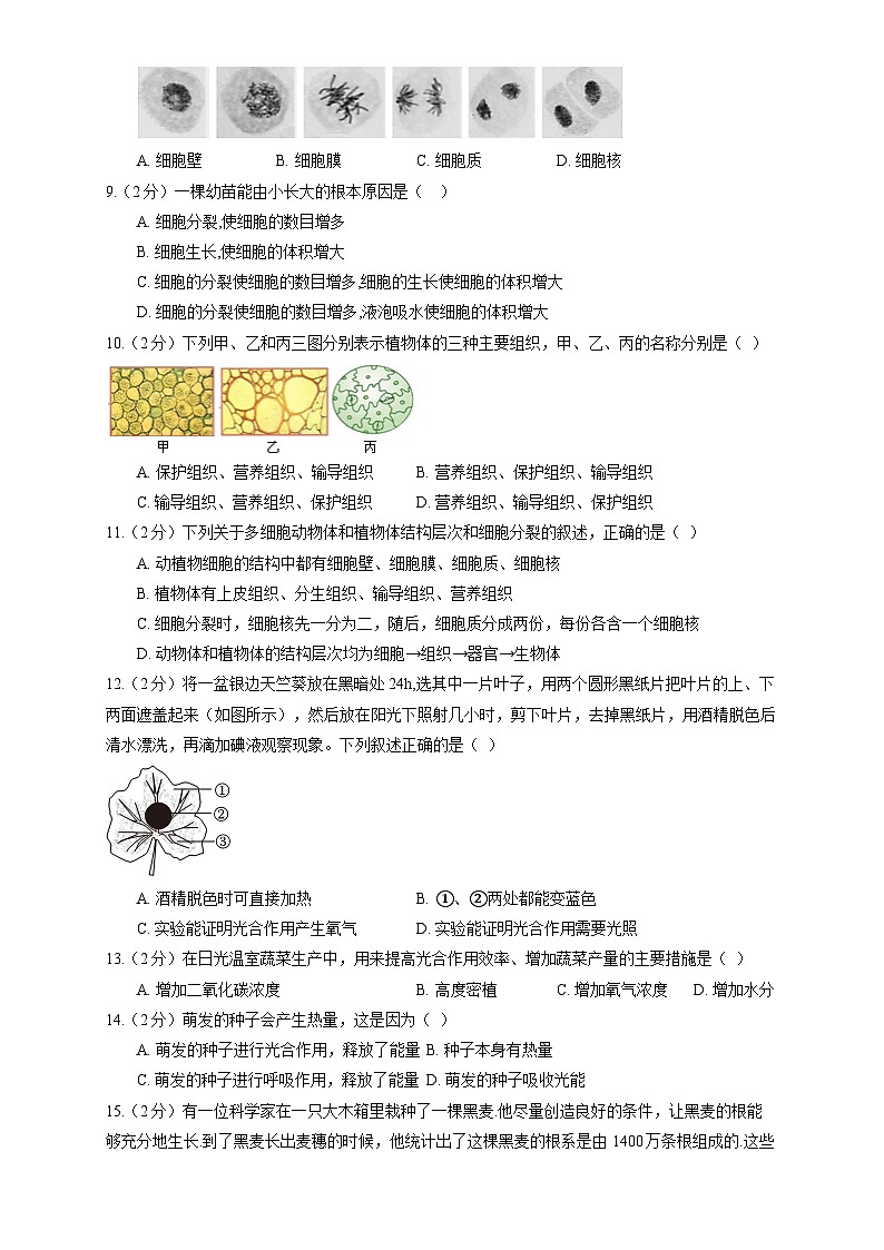 北师大版（2024新版）七年级上册生物期末复习刷题试卷2（含答案解析）第2页