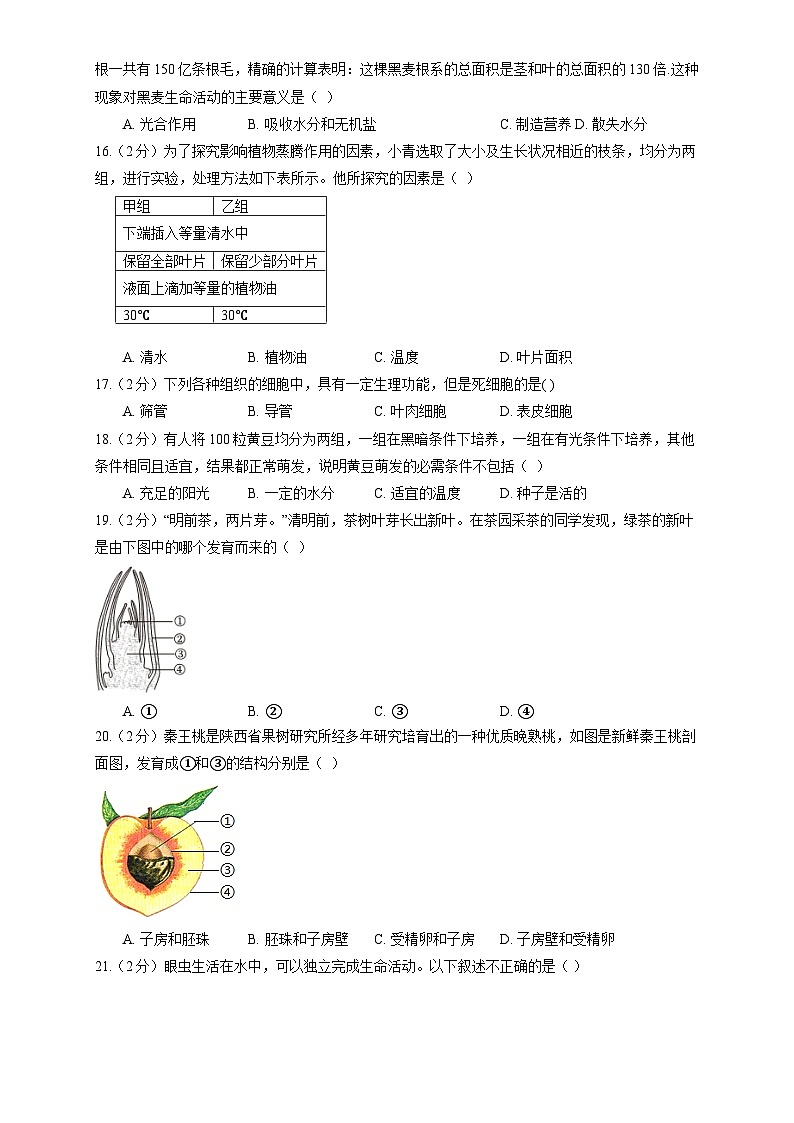北师大版（2024新版）七年级上册生物期末复习刷题试卷2（含答案解析）第3页