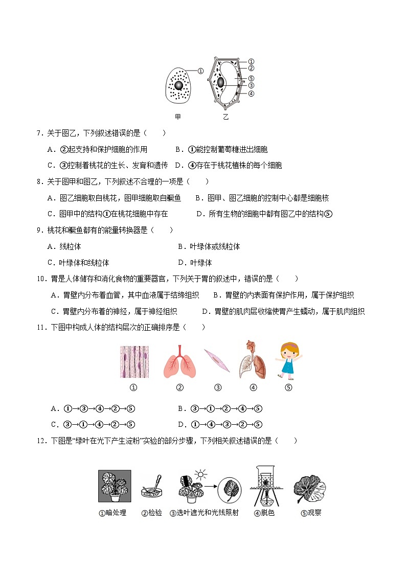 北师大版（2024新版）七年级上册生物期末复习刷题试卷（含答案）第2页