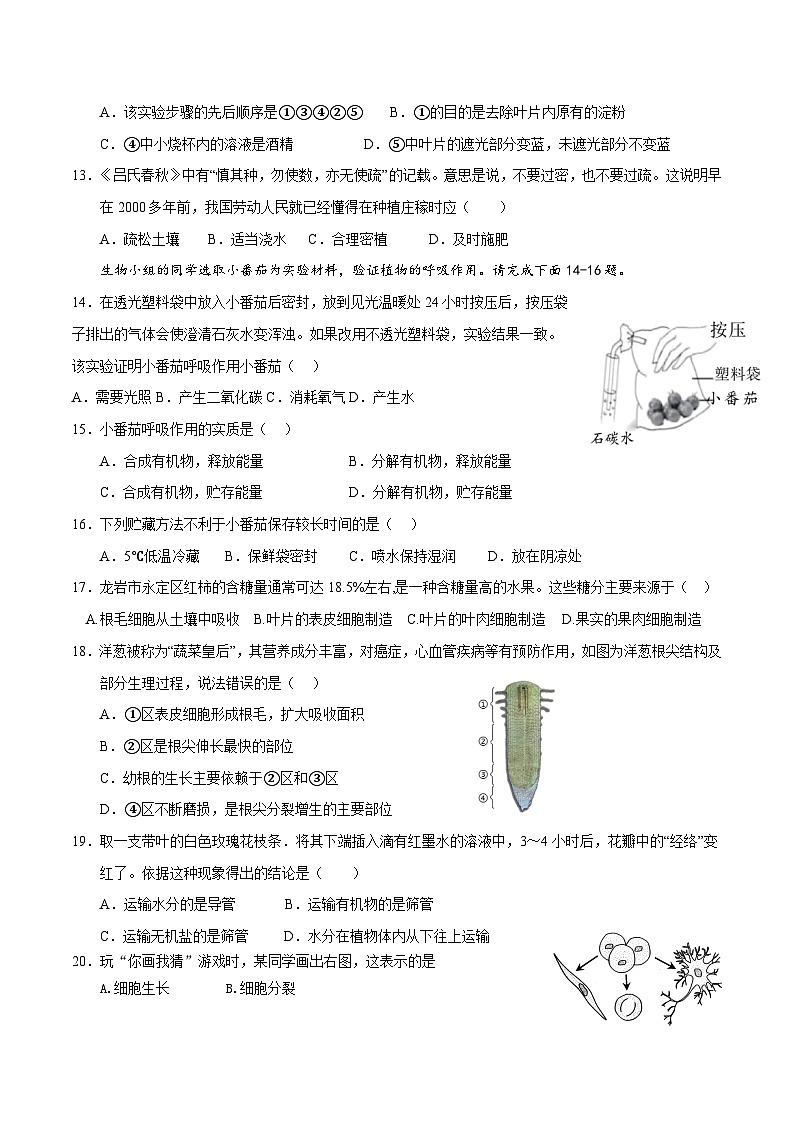 北师大版（2024新版）七年级上册生物期末复习刷题试卷（含答案）第3页