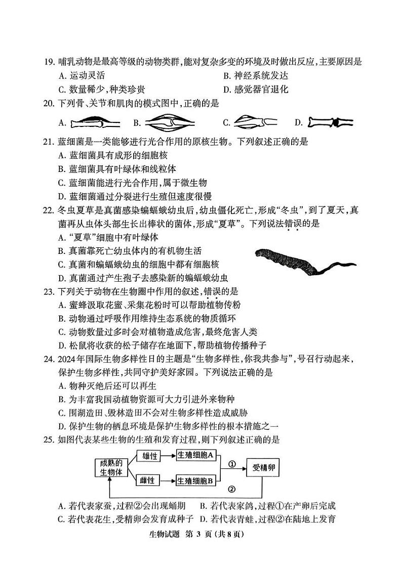 福建省三明市2024-2025学年初中毕业班中考一模生物试题第3页