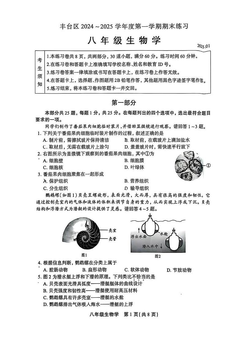 北京市丰台区2024-2025学年八年级上学期期末考试生物试卷第1页
