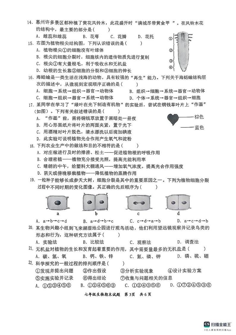 广东省惠州市惠阳区2024-2025学年七年级上学期1月期末生物试题第3页