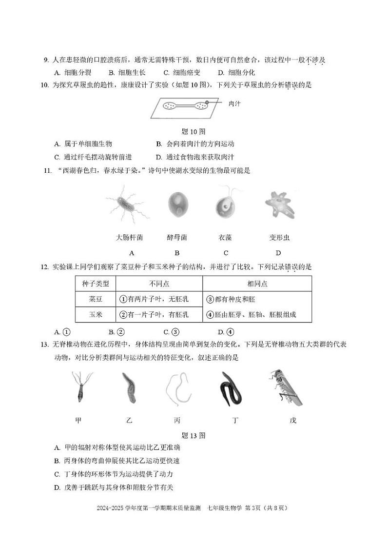 广东省深圳市南山区2024-2025学年七年级上学期期末生物试卷第3页