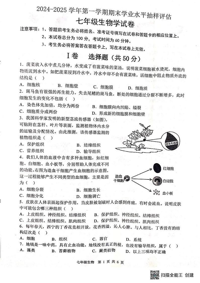 河北省唐山市迁安市2024-2025学年七年级上学期1月期末生物试题 河北省唐山市迁安市2024-2025学年七年级上学期1月期末生物试题第1页