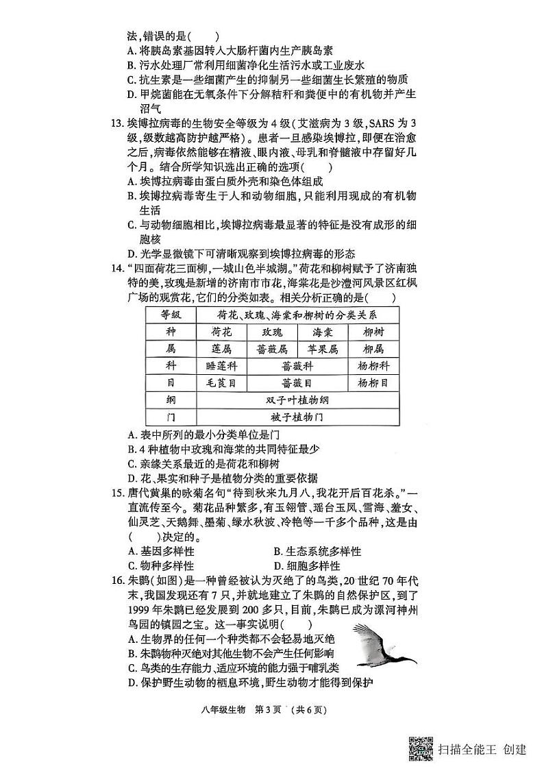河南省漯河市召陵区2024-2025学年八年级上学期1月期末生物试题第3页