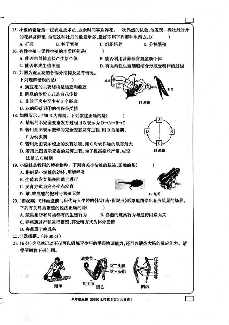 河南省周口市鹿邑县2024-2025学年八年级上学期1月期末生物试题第3页