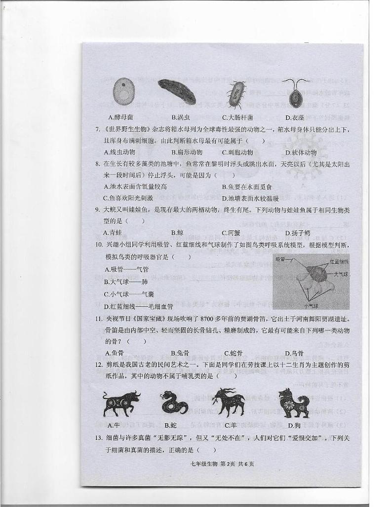河南省驻马店上蔡县2024-2025学年七年级上学期期末素质测试生物试卷第2页
