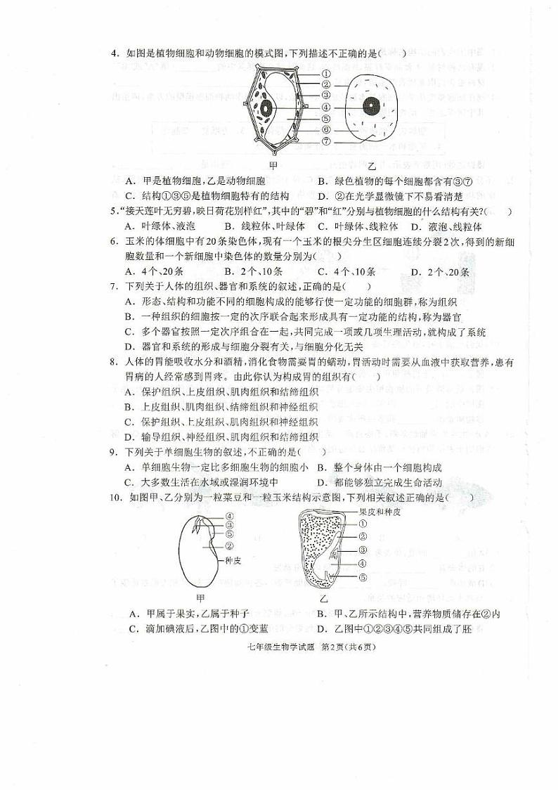 河南省驻马店市平舆县2024-2025学年七年级上学期1月期末生物试题第2页