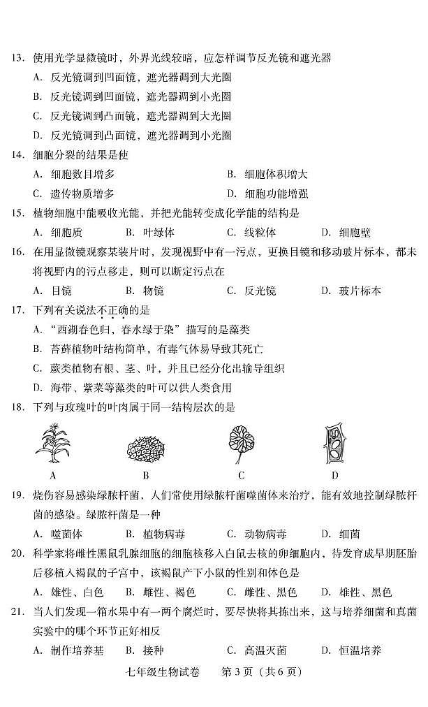 湖南省衡阳市常宁市2024-2025学年七年级上学期1月期末生物试题第3页