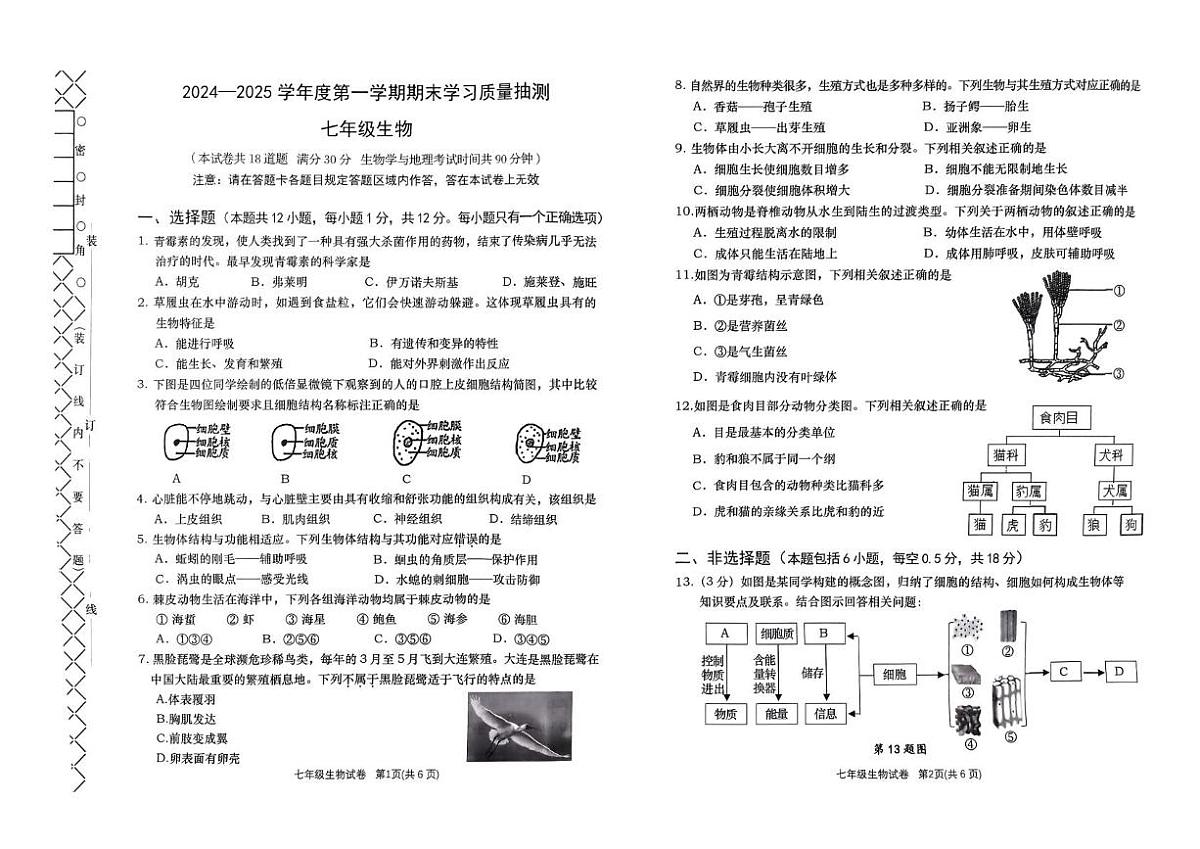 辽宁大连甘井子区等2024—2025学年七年级上学期七年级生物期末考试试题第1页
