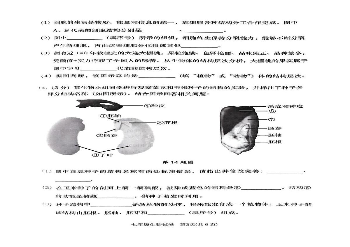 辽宁大连甘井子区等2024—2025学年七年级上学期七年级生物期末考试试题第2页