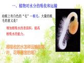 【核心素养】人教版初中生物七年级下册3.2.1《水的利用和散失》课件＋教案（含教学反思）