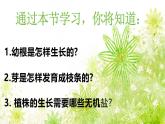 【核心素养】人教版初中生物七年级下册3.1.2《植株的生长》课件＋课时练习+教案（含教学反思）