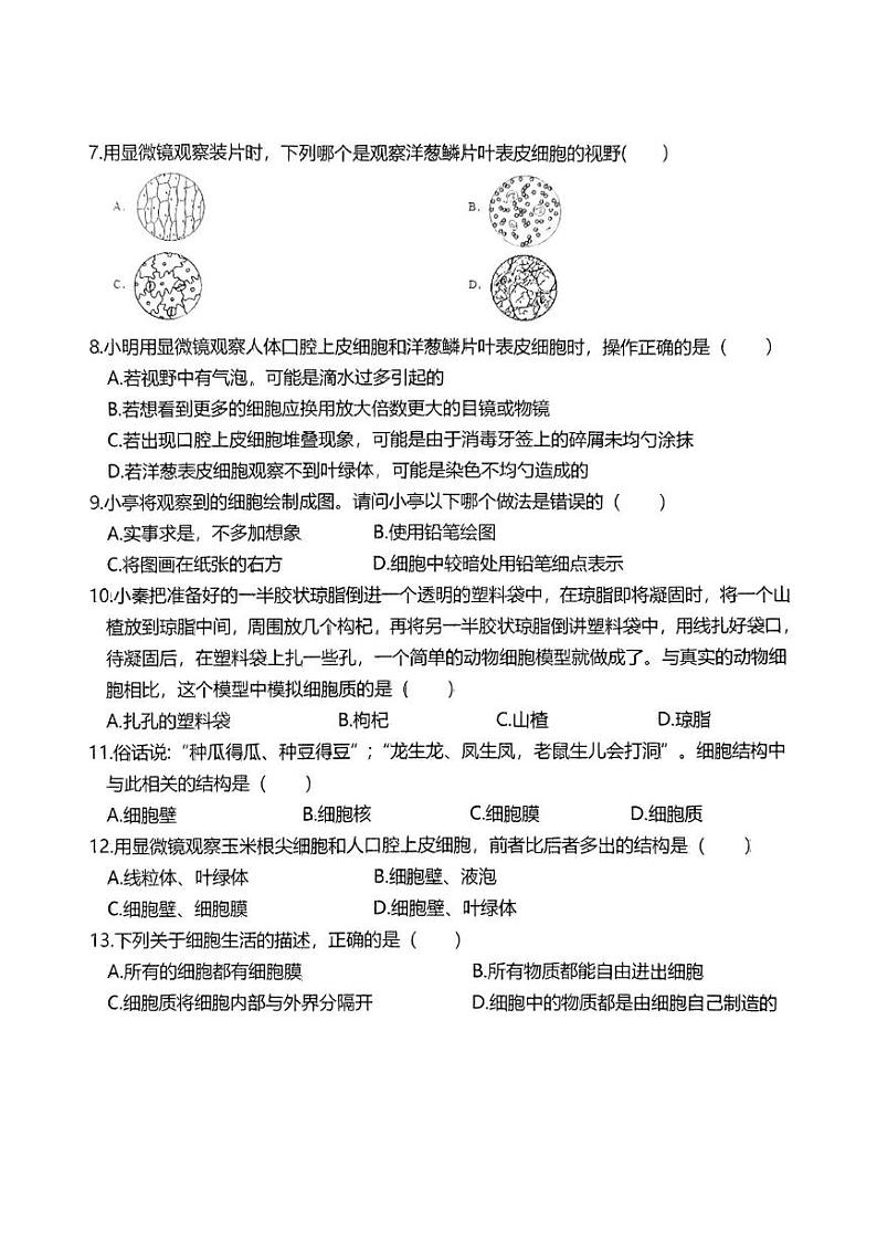 广东省东莞市松山湖莞美学校2024-2025学年七年级上学期期末教学质量检测生物试题第2页