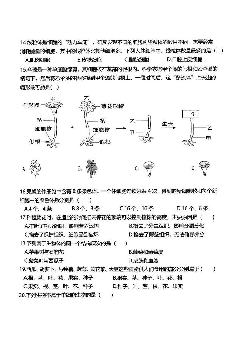 广东省东莞市松山湖莞美学校2024-2025学年七年级上学期期末教学质量检测生物试题第3页