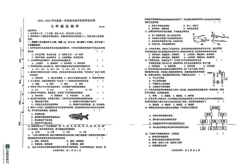河南省商丘市名校2024--2025学年七年级上学期期末质量评估生物试卷第1页