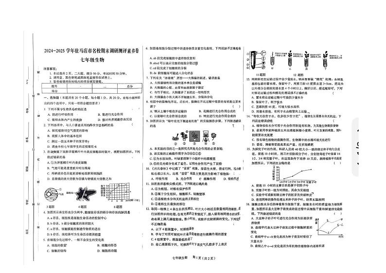 河南省驻马店市城区中学2024--2025学年七年级上学期期末学情检测生物试卷第1页