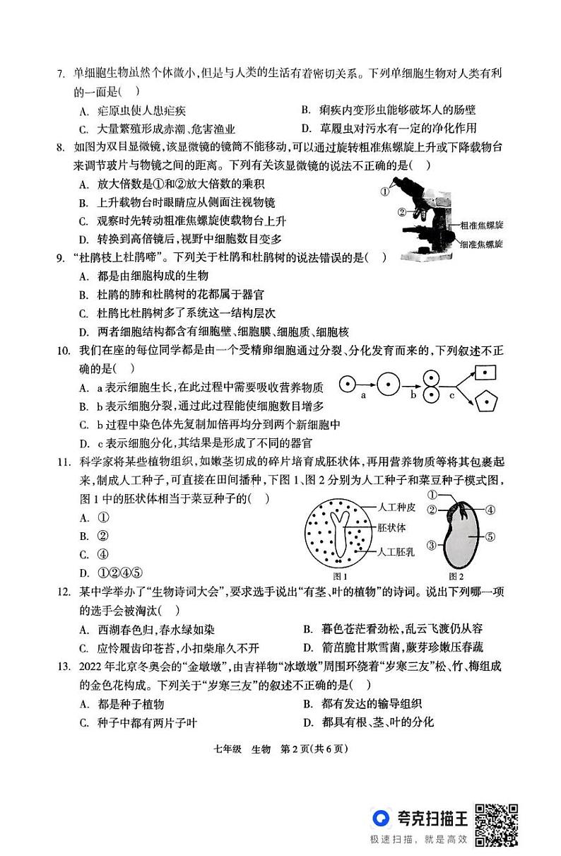 湖南省邵阳市新邵县2024-2025学年七年级上学期1月期末生物试题第2页