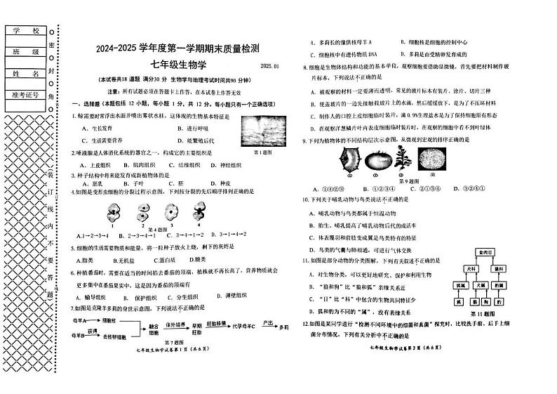 辽宁省大连市中山区2024-2025学年七年级上学期期末生物考试第1页