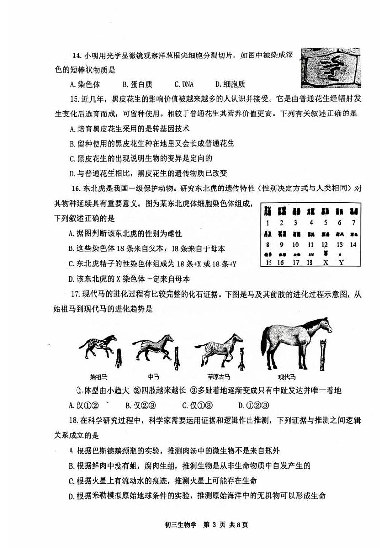 山东省莱阳市2024-2025学年八年级上学期期末考试生物试题第3页