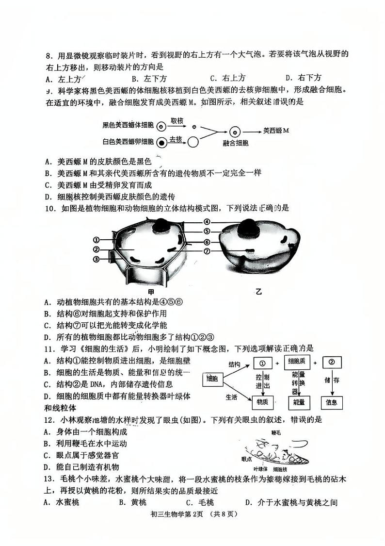 山东省淄博市临淄区2024-2025学年八年级上学期1月期末生物试题第2页