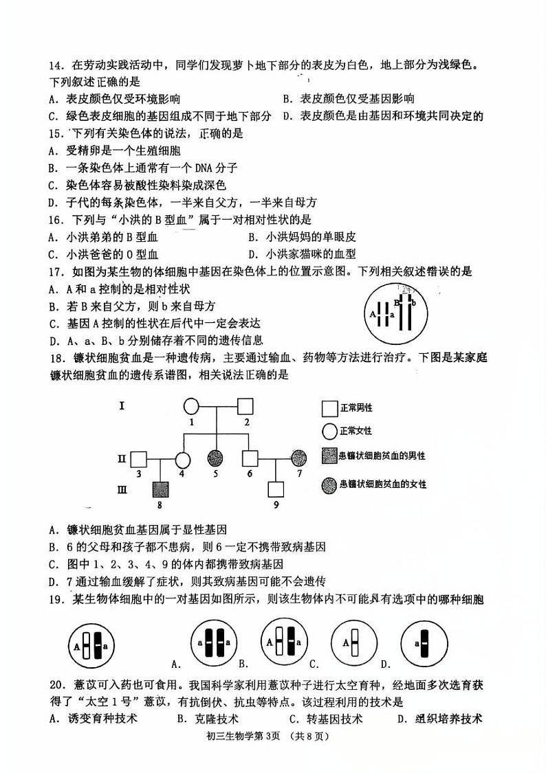 山东省淄博市临淄区2024-2025学年八年级上学期1月期末生物试题第3页