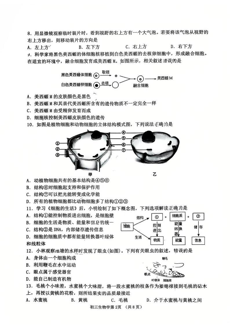 山东省淄博市临淄区2024-2025学年八年级上学期期末质量检测生物试题第2页