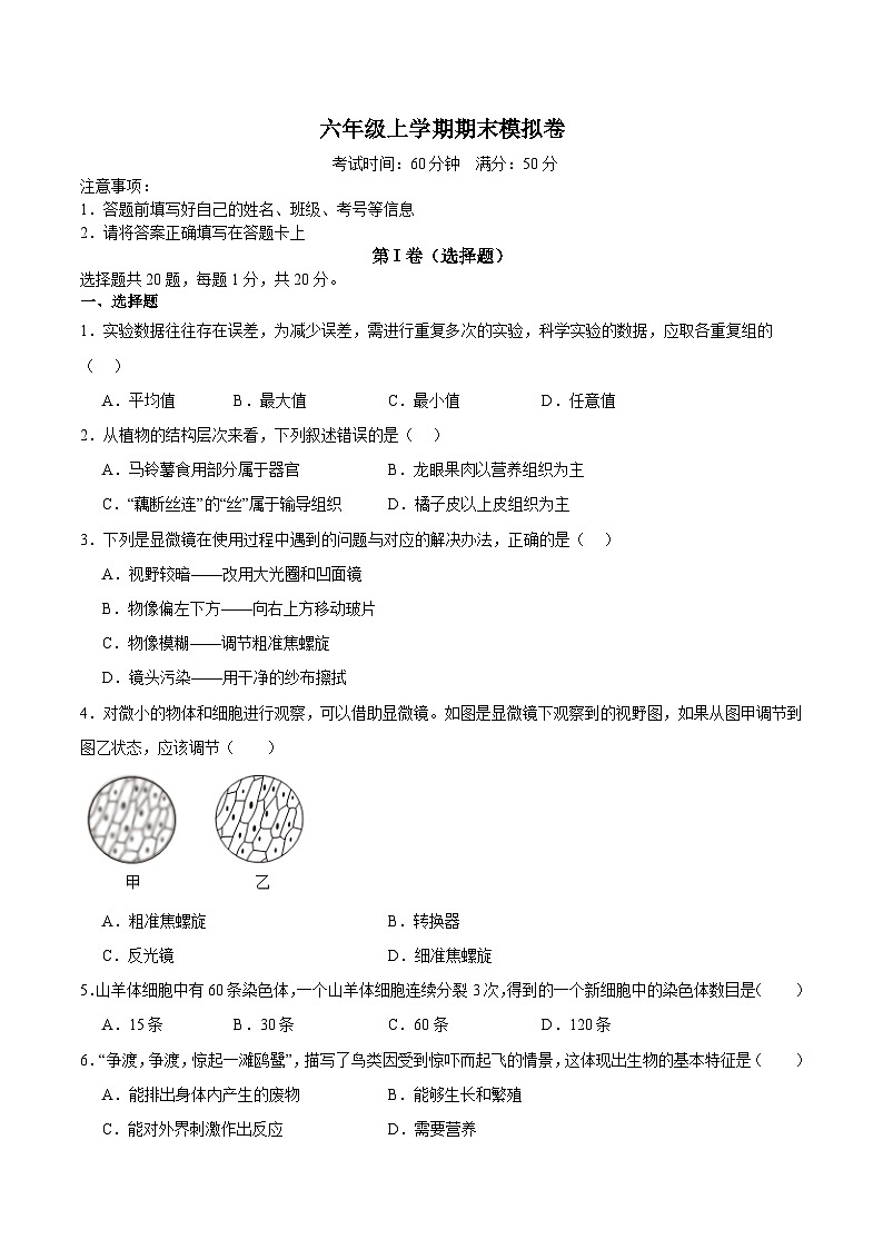 鲁科版五四学制2024   初中生物 六年级上册生物 期末模拟卷（原卷版）第1页