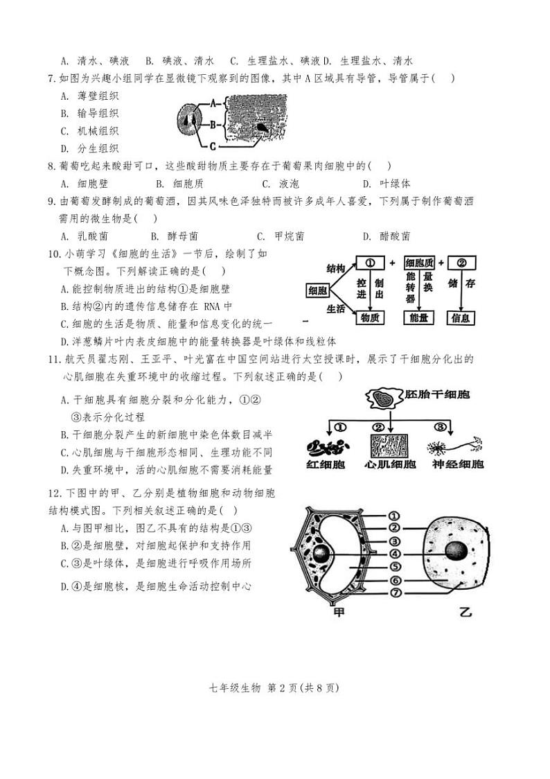 2024～2025学年广东省潮州市潮安区七年级上期末考试生物试卷(含答案)第2页