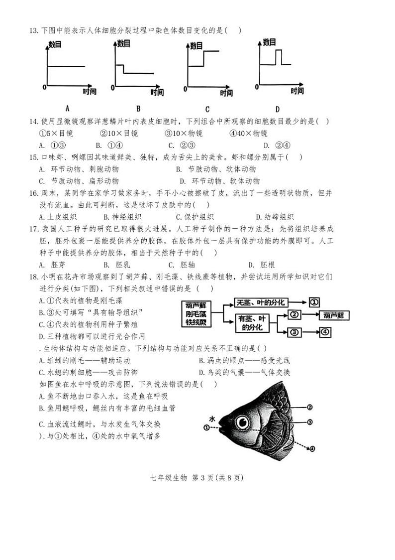 2024～2025学年广东省潮州市潮安区七年级上期末考试生物试卷(含答案)第3页