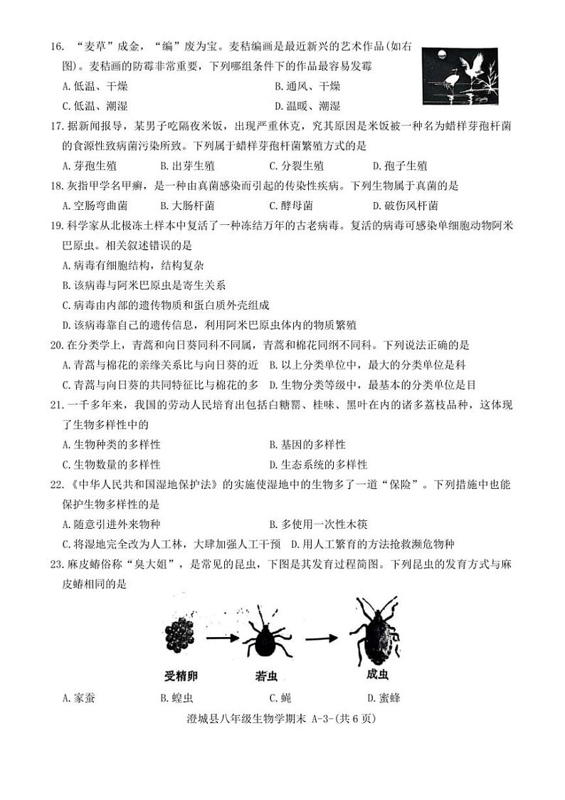 2024～2025学年陕西省渭南市澄城县八年级上1月期末生物试卷(含答案)第3页