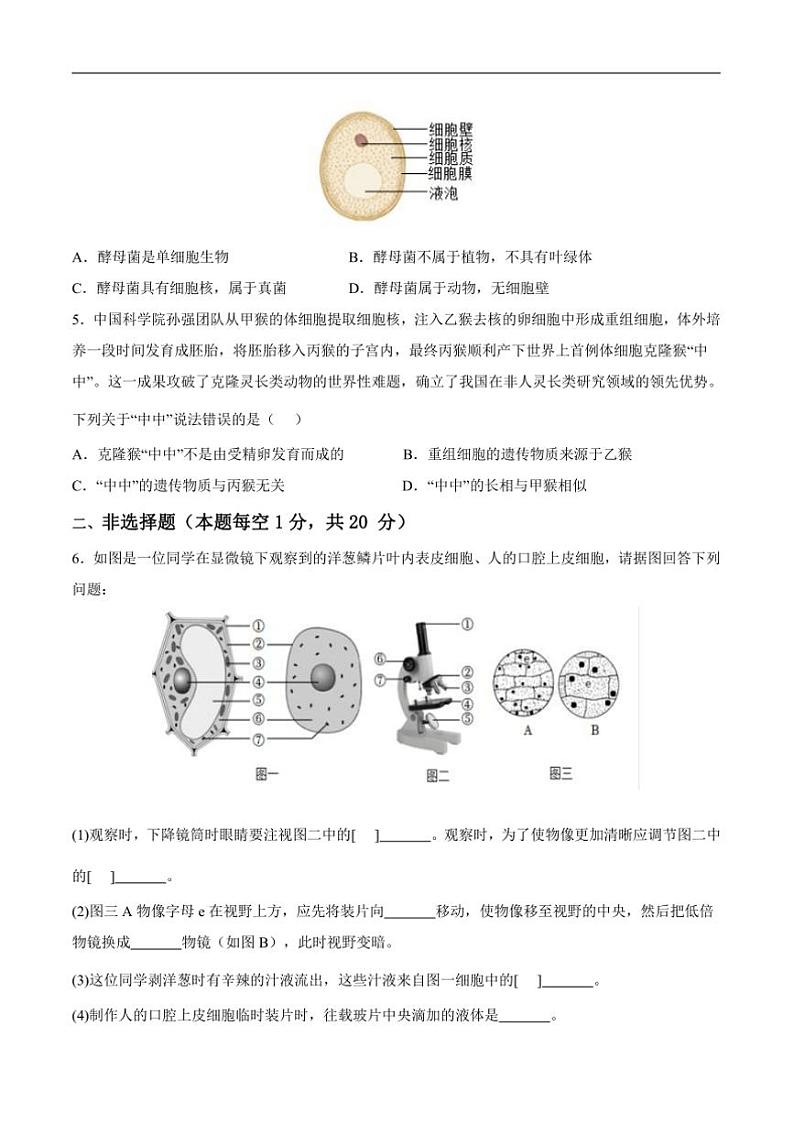 2024～2025学年内蒙古自治区锡林郭勒盟三县联考(月考)七年级上1月期末生物试卷(含答案)第2页