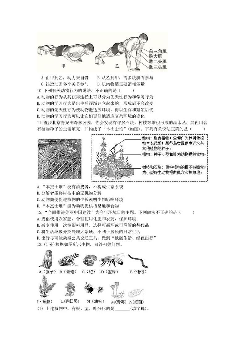2024～2025学年辽宁省沈阳市于洪区八年级上1月期末生物试卷(含答案)第2页