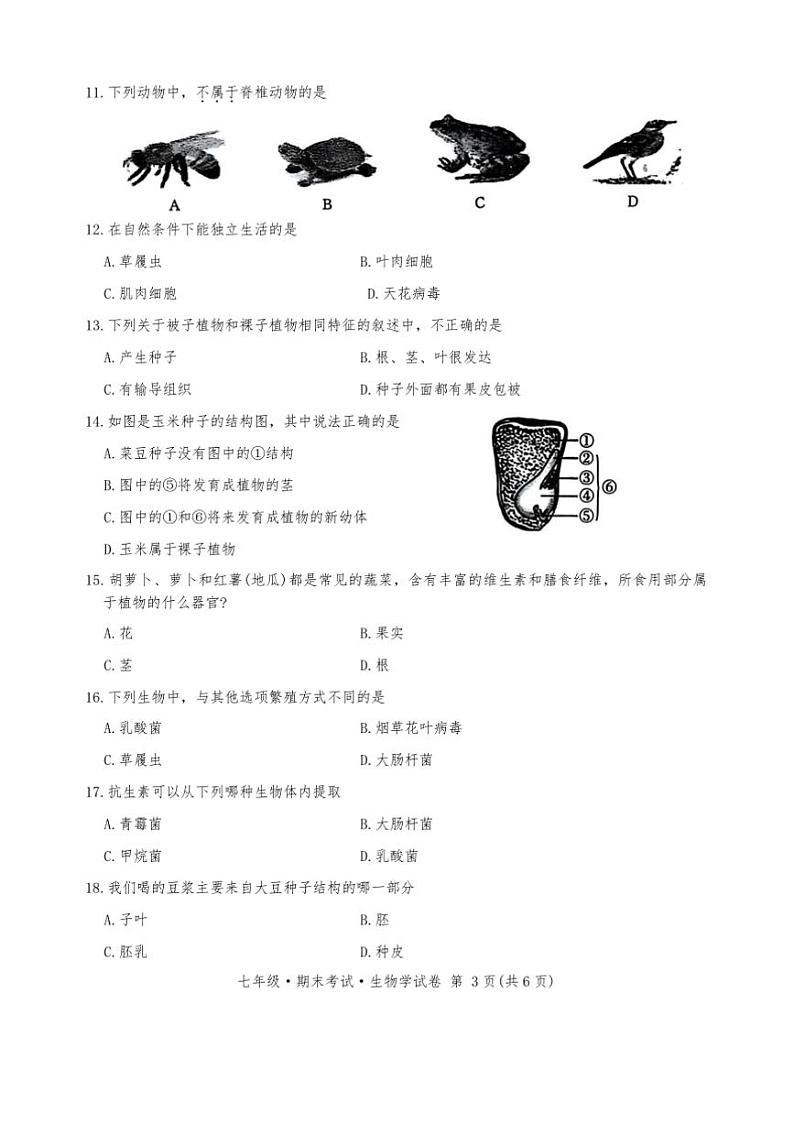 2024～2025学年黑龙江省牡丹江市第五子联盟七年级上1月期末生物试卷(含答案)第3页