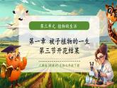 【新教材核心素养】人教版生物七年级下册3.1.3开花和结果（课件+同步教案+导学案+分层作业）