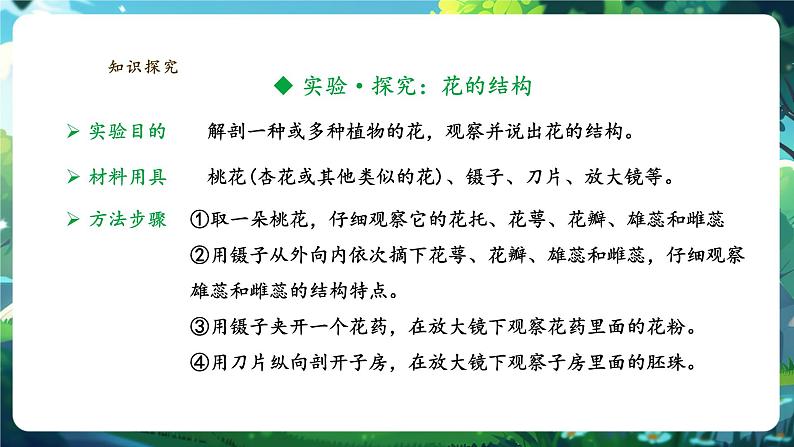 生物七下 3.1.3开花和结果 课件(共30张PPT)+视频素材.1第5页