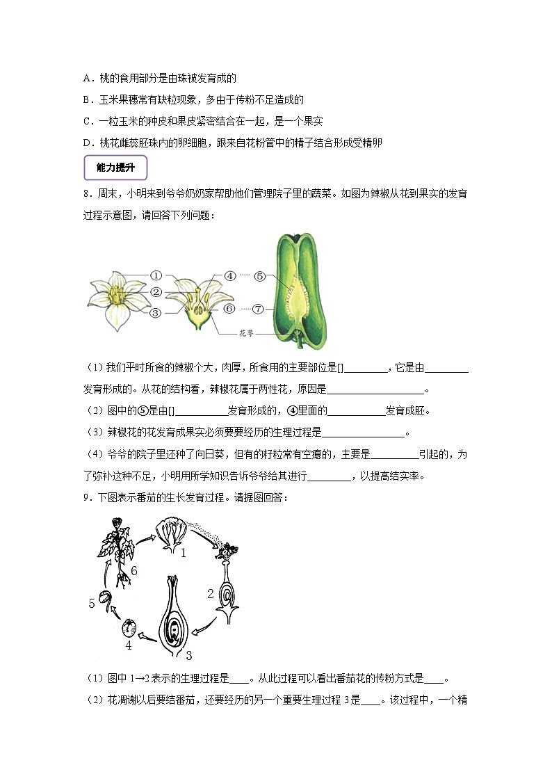 生物七下 3.1.3开花和结果 分层作业（含答案）第2页
