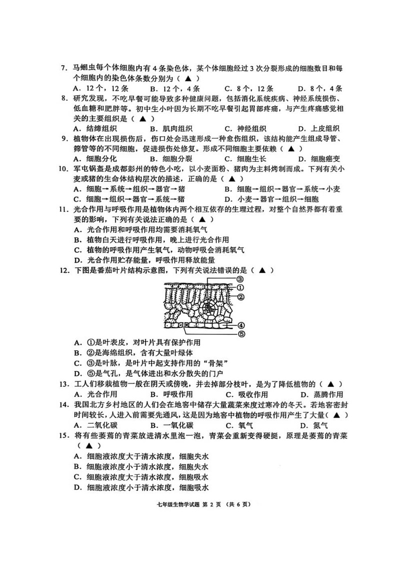 四川省成都市邛崃市2024-2025学年七年级上学期期末考试生物试题第2页