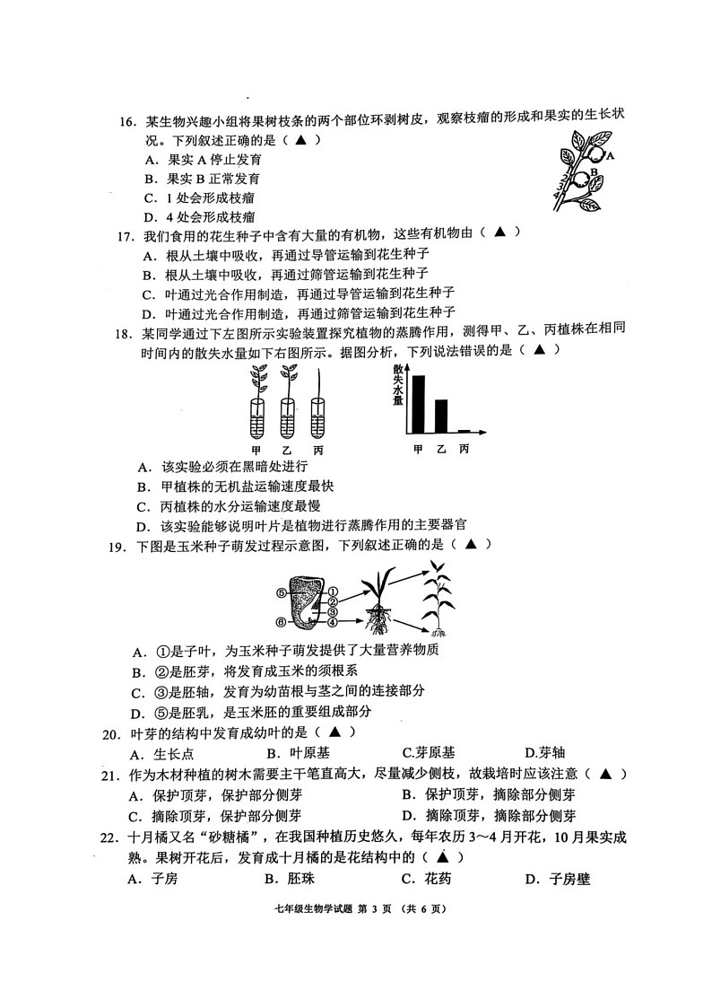 四川省成都市邛崃市2024-2025学年七年级上学期期末考试生物试题第3页