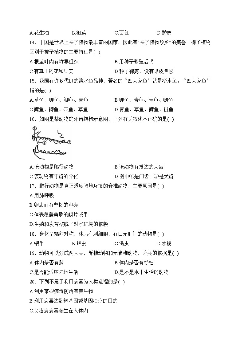 吉林省四平市双辽市2024-2025学年七年级上学期期末考试生物试卷(含答案)第3页